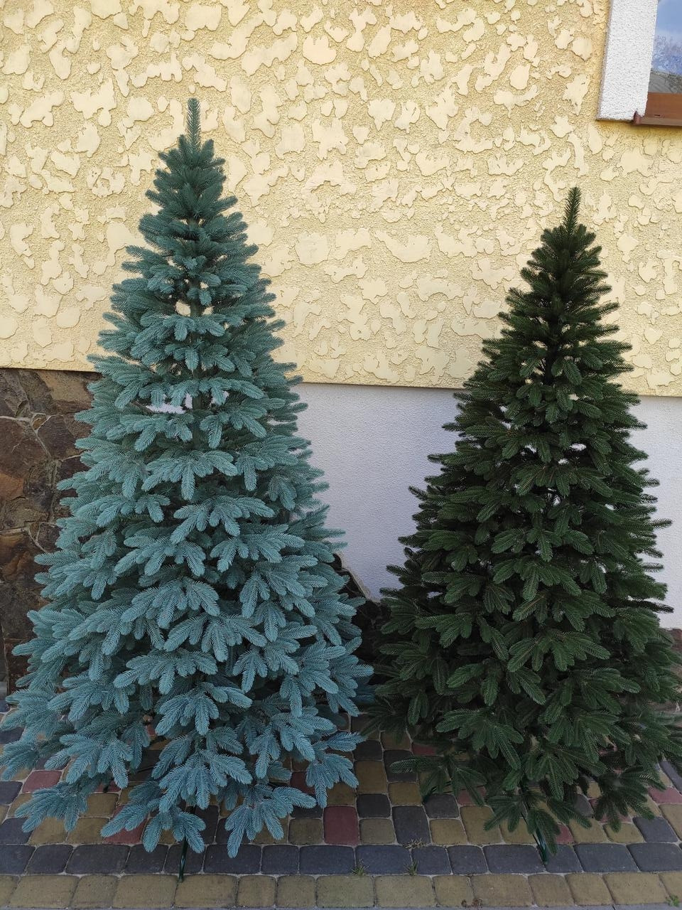 2660556706_premium-zelenaya-25m.jpg